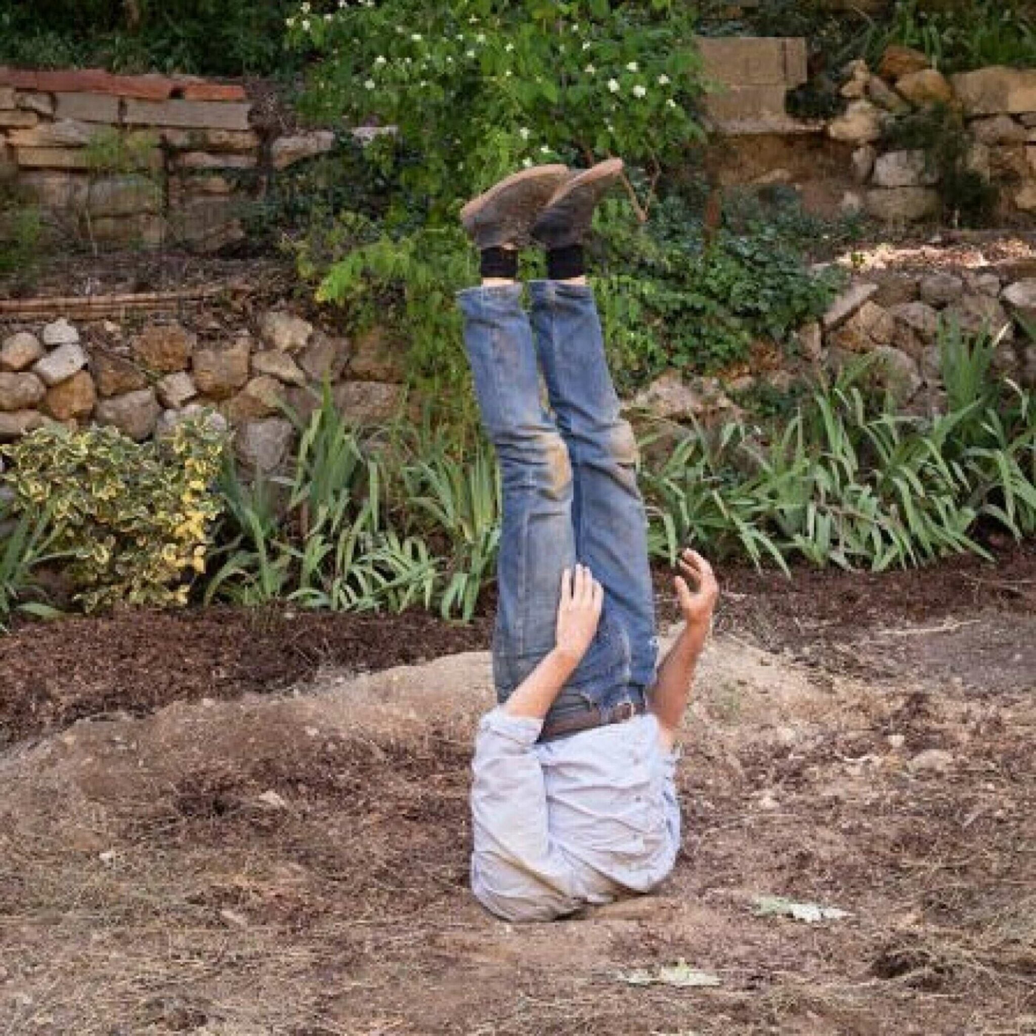 Semaine Nature & Biens Communs dans les jardins du Zef – Gare Franche