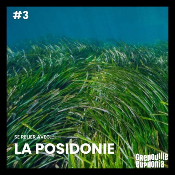 album-art