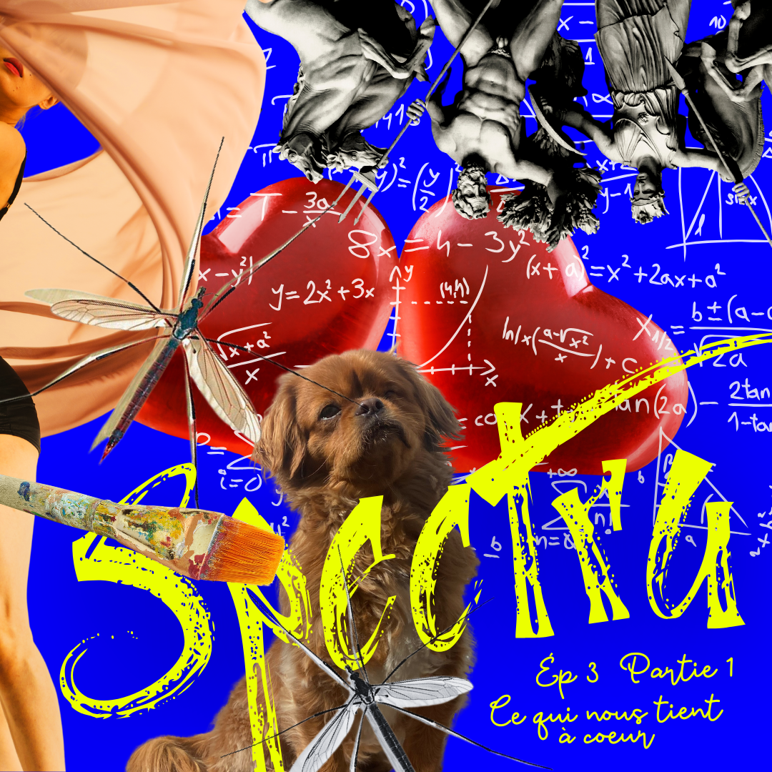 Fidèles à Nous-mêmes - Récits De Défis Et De Sagesse En Quête De Ce Qui Nous Tient A Cœur